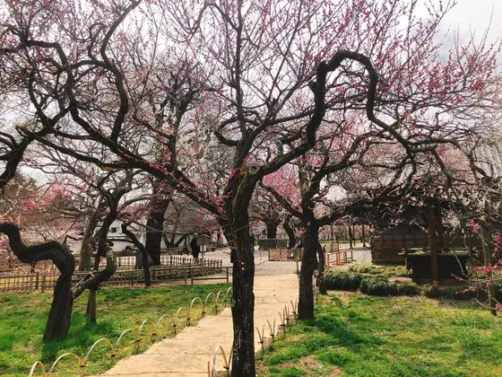 スポット内のおすすめ