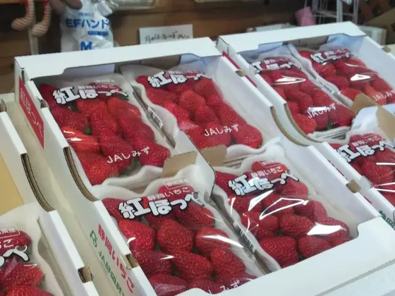 採れたていちごはいかが？