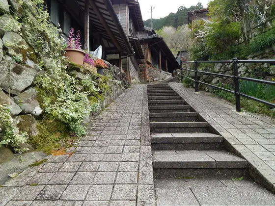 峠に入っていきます