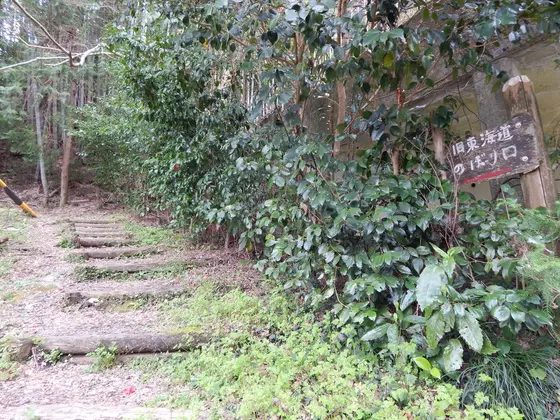 西へ続く旧東海道