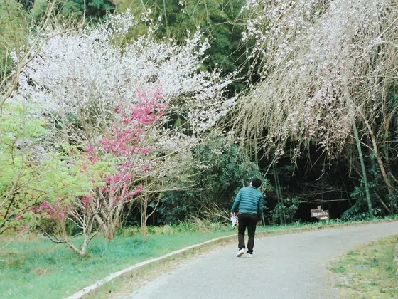明治のトンネルへ行く道すがら