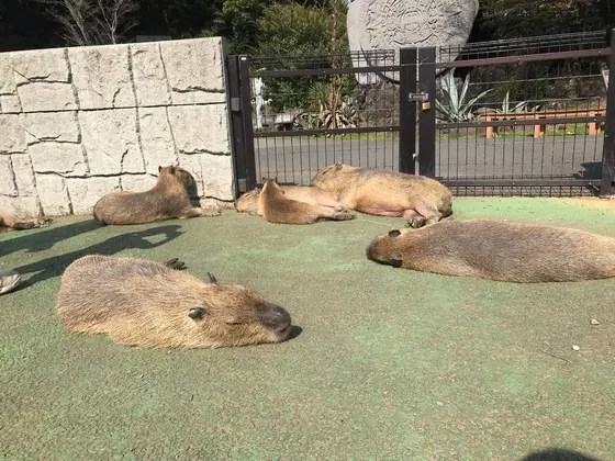 みんなのんびり