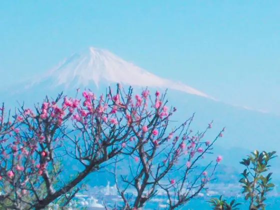 神々しい…