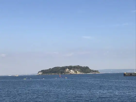 三笠公園から見た猿島