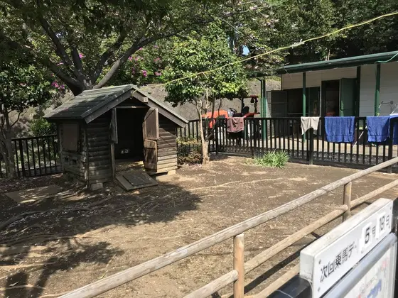 ポニーさんはお休み中
