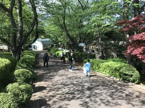 馬坂ですw