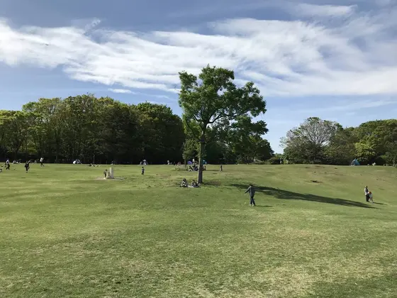 シンボルツリーちっく其の二