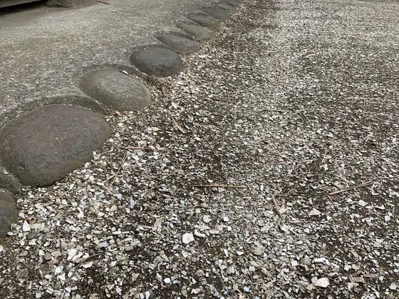 貝殻が敷かれてます