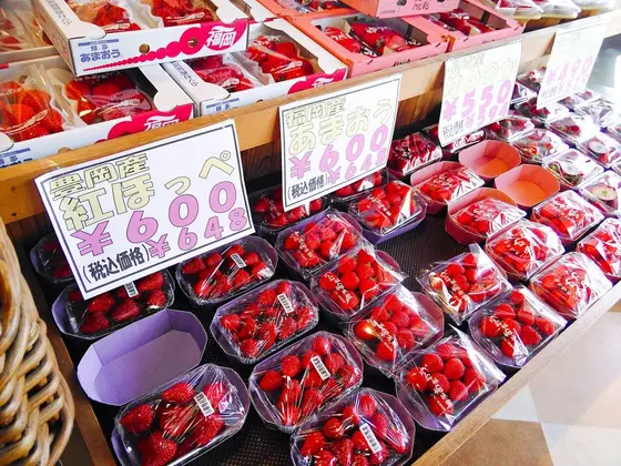 今はやっぱりいちごですねっ！