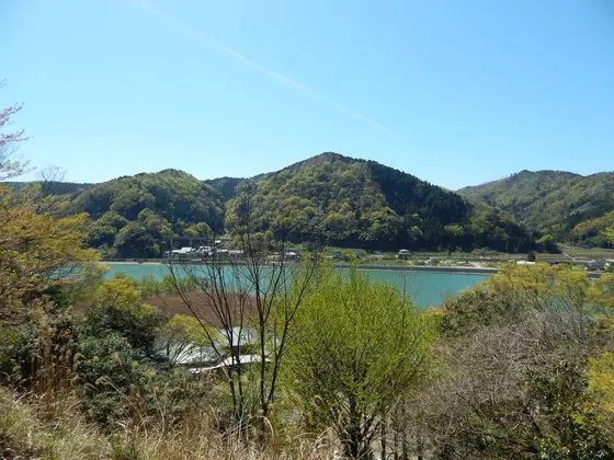 公園から見える清流「円山川」