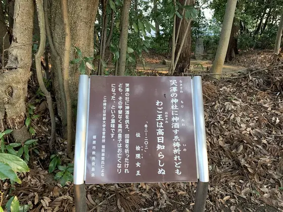 スポット内のおすすめ