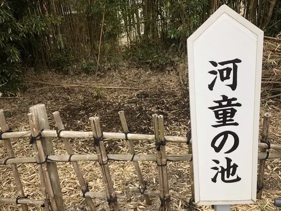 河童の池