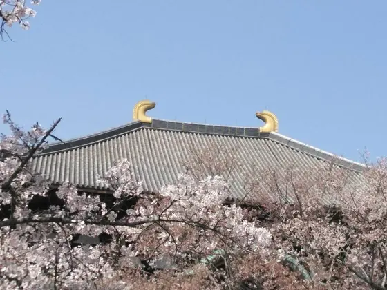 金色の「̪鴟尾（しび）」