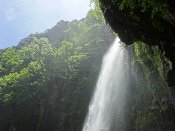 滝のすぐ近くまで…！
