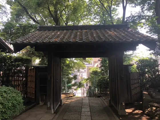 絶景。この向こうが来た時の階段