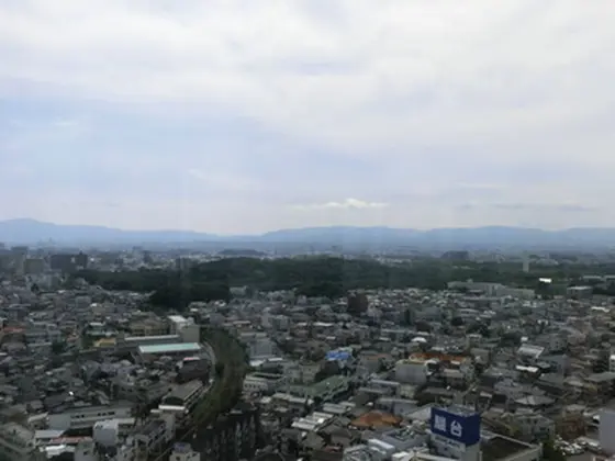 展示コーナー