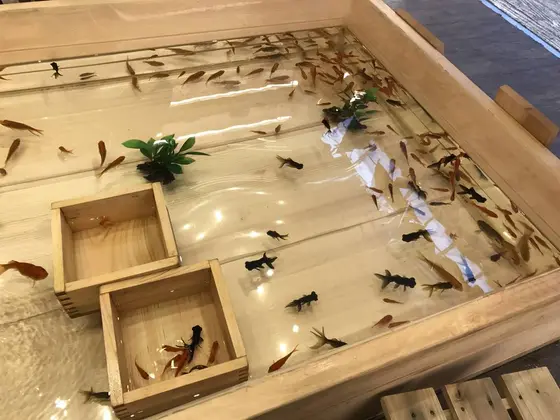 スポット内のおすすめ
