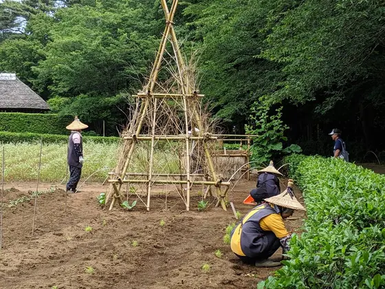 農作業されてる方の格好も凝ってます