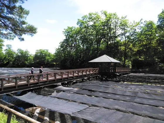 幸いのかけ橋