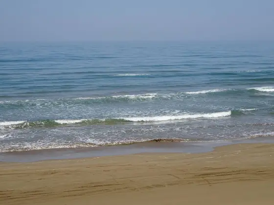 砂浜をドライブ