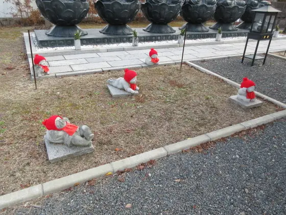 楽しみ方もいろいろ