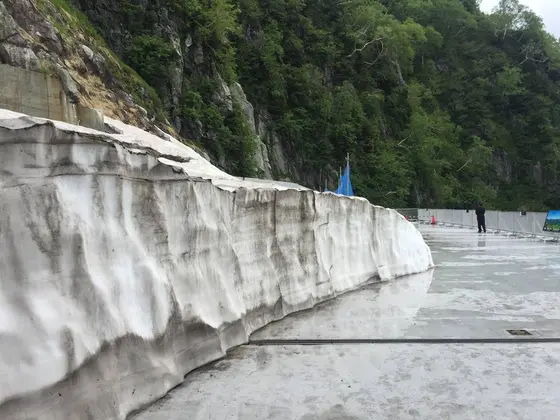 残雪