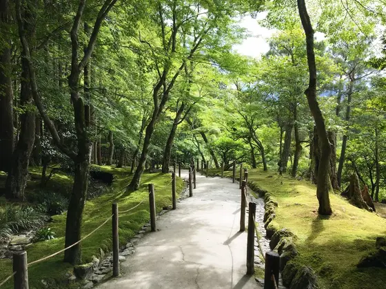 苔