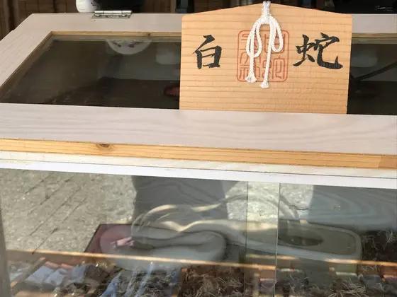 白蛇様