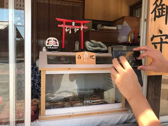 スポット内のおすすめ