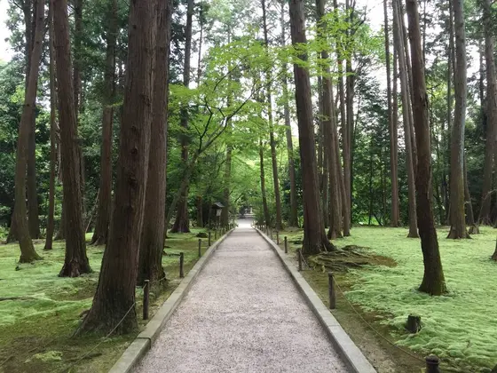 スポット内のおすすめ