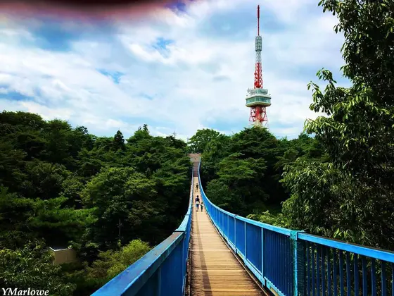 反対側からは宇都宮タワーが見える