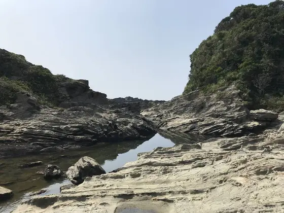 三浦岩礁の道は長い