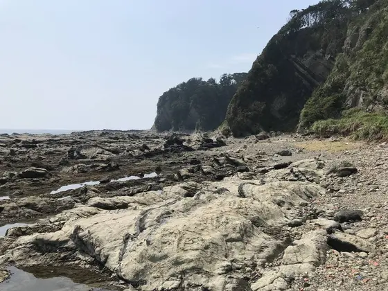 崖が垂直に切り立ってます。