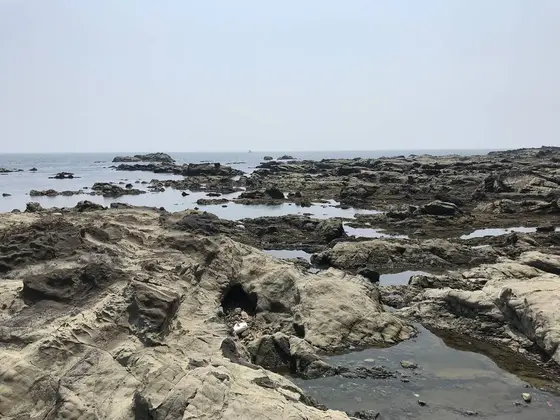 ゴジラの背ビレのような岩棚