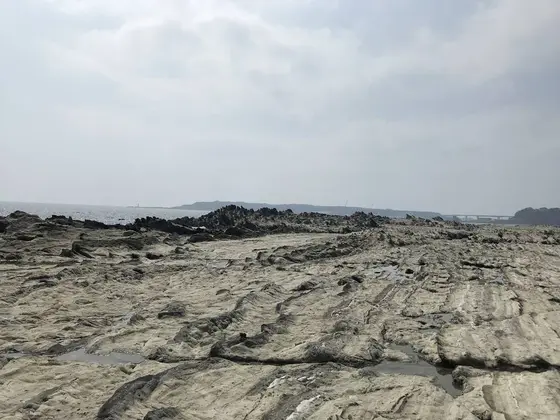 城ヶ島が見えました。