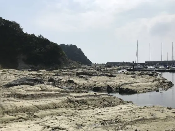自然の地形を生かしたヨットハーバー