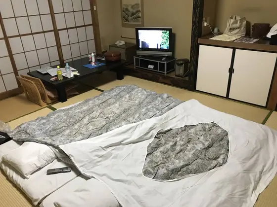 客室は広いです。