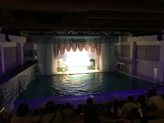 イルカショー