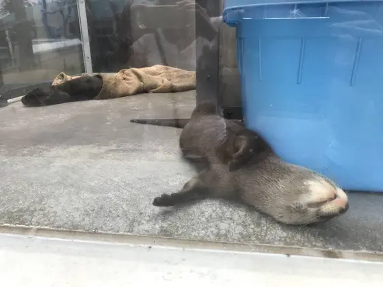 なんて無防備なw