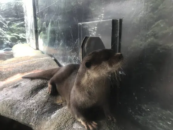 この子、活発な子でした。