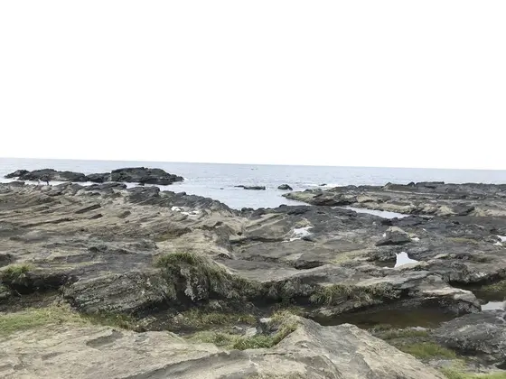 岩礁や断崖が織り成す景観