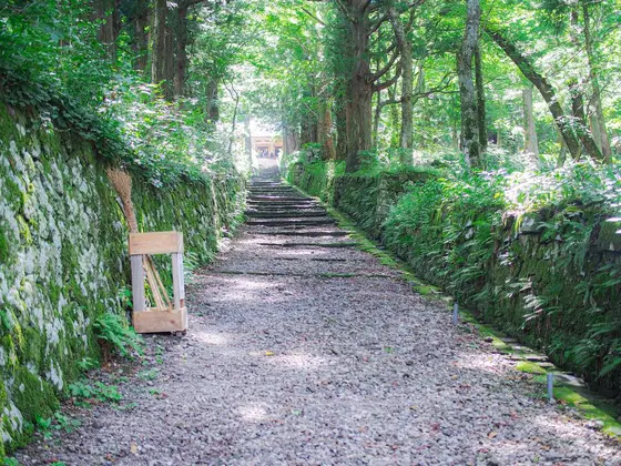目的に応じて登ることができるのが魅力