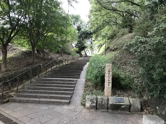 結構な段数です。