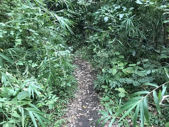 渓谷入口