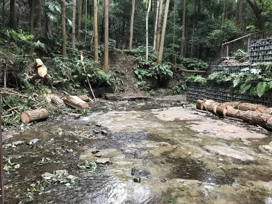 水量によっては