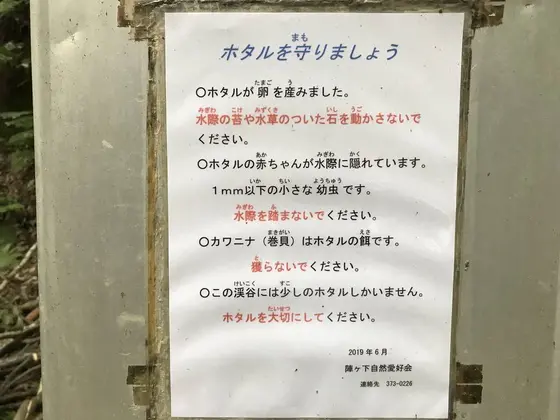看板張り紙