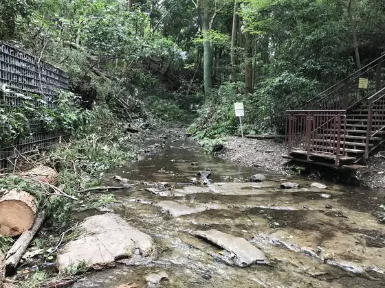 川を渡ってみました。