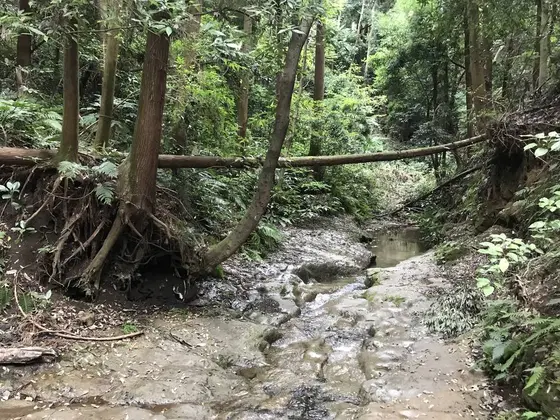 どこぞの秘境？