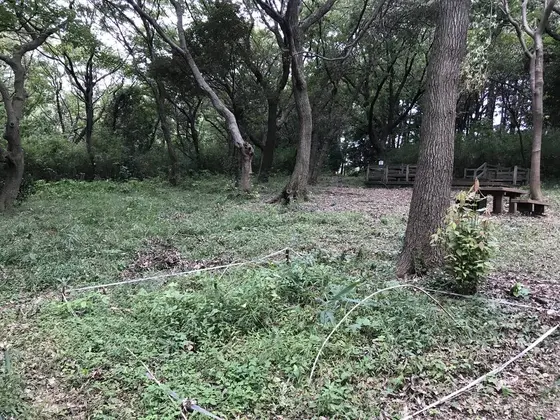 何かあるのでしょうか？