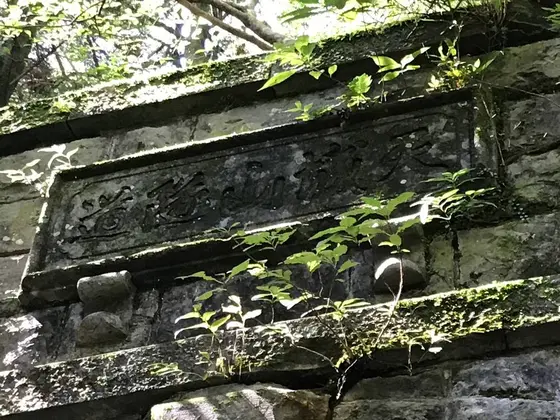 南伊豆の執念が結実したトンネル